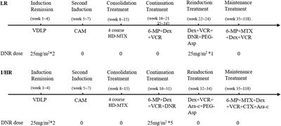 Anthracycline Induced Cardiac Disorders in Childhood Acute Lymphoblastic Leukemia: A Single-Centre, Retrospective, Observational Study